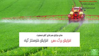 ریشه کنی سفیدک داخلی با سم قارچ کش فسفیت