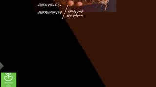 قارچ کش توپسین ام | Topsin M بسیار به صرفه و تاثیرگذار