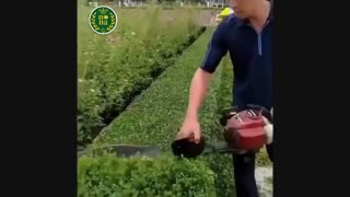 نگهداری فضای سیز