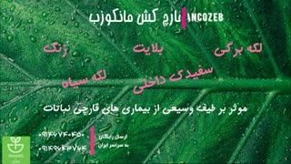 نابود کننده بی همتای لکه سیاه سیب و گلابی سم مانکوزب | Mancozeb