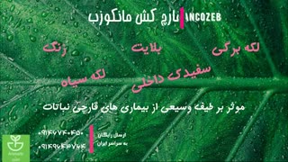 قارچ کش مانکوزب | Mancozeb فوق العاده در پیشگیری سفیدک پودری