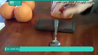 خوراک های مسموم زا برای طوطی