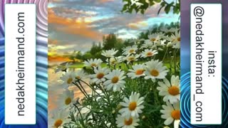 شکرگزاری - روز سوم