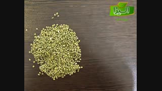 ماش ایرانی چیست و چه تفاوتی با ماش های خارجی دارد؟