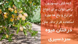 نابودی تمامی کنه ها با سم کنه کش نیسورون | Nissorun