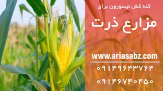 با کنه کش نیسورون به جنگ کنه ها بروید | Nissorun