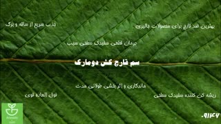 توقف کامل بیماری سفیدک سطحی، با سم دومارک | domark