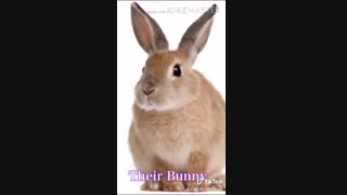 ARMY BTS VS NORMAL PEOPLE