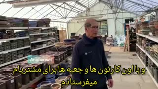 ویدیو استاد چان-پیرامون بونسای و گلدان های عتیقه توکونامه-ترجمه از آریابونسای