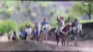 گردان قاطریزه