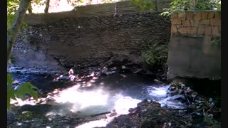 فیلمبردار-حسام الدین شفیعیان