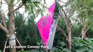 فرودگاه چانگی