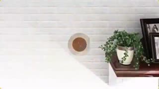 فومی طرح اجر