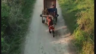 سریال چینی شاهزاده خانم بی خواب قسمت 33 با زیرنویس فارسی /The Sleepless Princess Chinese Drama 2020