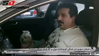 رضایتمندی مشتری از مجموعه اسمارت آپشن