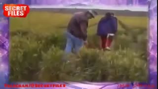 اسرار کشف نشده حلقه های کشتزار [بخش پنجم] (مستند کوتاه) دوبله فارسی