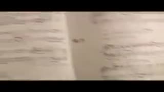 چگونه پیانو بنوازیم 31 - ساختار در تحلیل ساختار موسیقی، فرم باینری