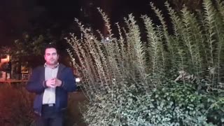 طرح فروش ویژه طلا و جواهر مخصوص آتش نشان ها | طلای اقساطی