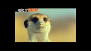 صدای حیوانات