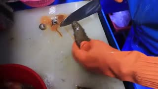 انواع غذاهای دریایی _ غذای خیابانی کره جنوبی