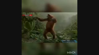 عاشق این قسمت   راز بقا اکسو هستم