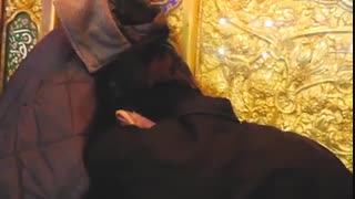 ۶ روز تا اربعین حسینی مانده