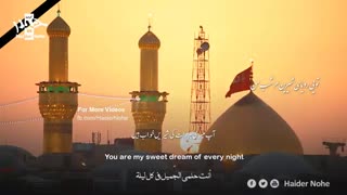 چه ساده، منو راهی کربلات کردی - میثم مطیعی | مترجمة للعربیة | English Urdu Subtitles