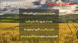 با سم قارچ کش آرتیا | Artea آفات غلات را سربه نیست کنید
