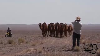 فیلم مستند بی آب و نان بیابان