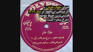 اجرای آهنگ ایرانی مرغ سحر