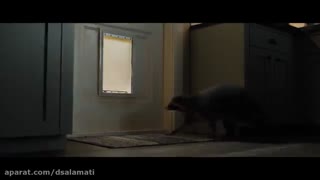 فیلم سینمایی سونیک خارپشت دوبله فارسی