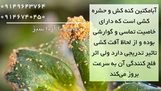 حشره کش آبامکتین، نابود کننده مینوز سبزیجات و صیفی جات | Abamectin