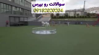 سرمایه گذاری توی املاک و مستغلات خلاف جهت اکثریت جامعه