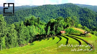 معرفی کامل شهر اطاقور