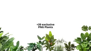 Udemy – Architecture Post-production in Photoshop