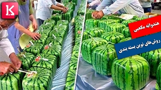 از مکعبی کردن هندوانه تا فناوری‌های شگفت‌انگیز بسته بندی