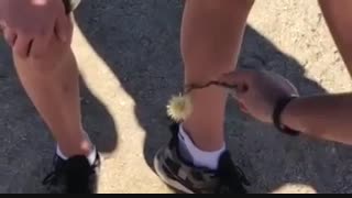 میشه شما کمک نکنی؟