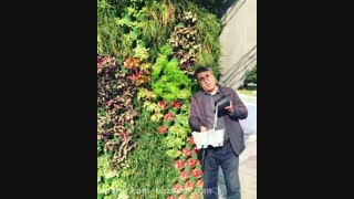 پارتیشن دیوار سبز و پارتیشن اداری و پارتیشن خانگی