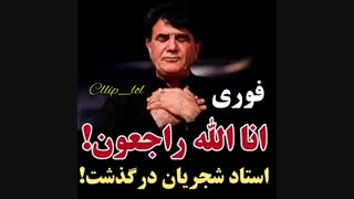 وزحیکی
