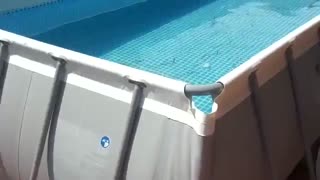 استخر پیش ساخته دست دوم اینتکس