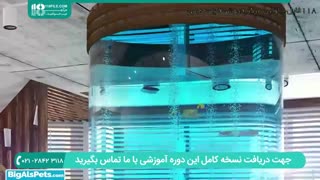 آشنایی با کود و مواد مغزی مناسب بستر آکواریوم گیاهی