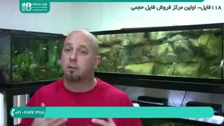رفع مشکلاتی در آکواریوم گیاهی مانند افزایش رشد جلبک ها