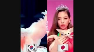 خوندن اهنگ دو دو دو توسط جنی با زبان ژاپنی و کره ای