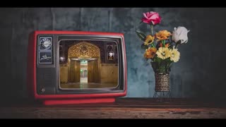 ممنونم امام رضا