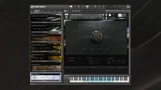 وی اس تی تحت کانتکت Native Instruments SYMPHONY SERIES WOODWIND ENSEMBLE