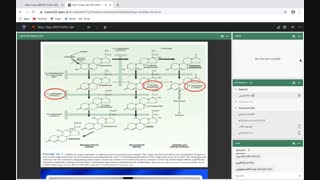 جلسه سوم فارماکولوژی۲- قسمت دوم