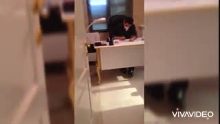 زالو درمانی