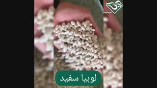 فروش انواع لوبیا به صورت فله و عمده