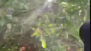 فروش نهال بادام فرانیس ۰۹۱۴۱۸۱۱۵۲۰