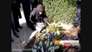 اشک های مژگان شجریان بر مزار پدر